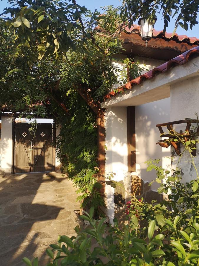 Namaste Къща В Село Камилски Дол Kamilski Dol Ngoại thất bức ảnh